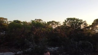 Naughty Drone
